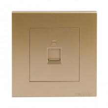 WTDSG (Gold)